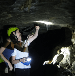 Grottes aux vers luisants Nouvelle-Zélande