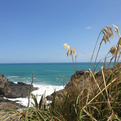 Piha Nouvelle-Zélande
