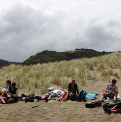 Piha Nouvelle-Zélande