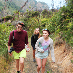 Piha Nouvelle-Zélande