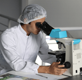 stage scientifique Australie Nouvelle-Zélande