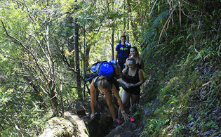Visite Rangitoto Auckland Nouvelle-Zélande